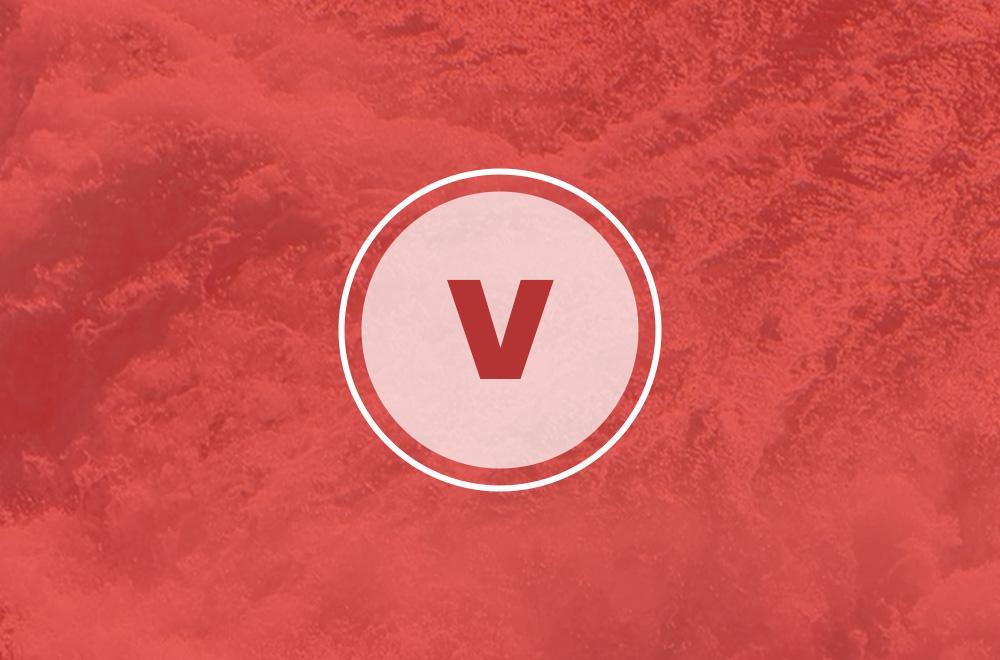 Foundations Module 1: Vision